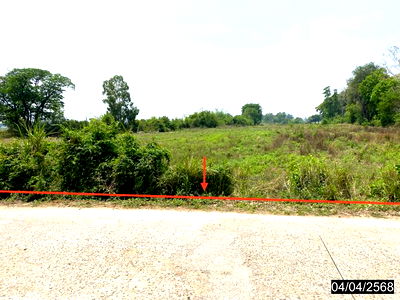 Land for sale Kalasin : LAND for sale  Nong Kung Sri Nong Kung Sri Kalasin