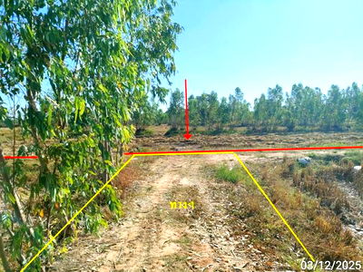 Land for sale Chaturaphak Phiman Roi Et : LAND for sale  Nam Sai Chaturaphak Phiman Roi Et
