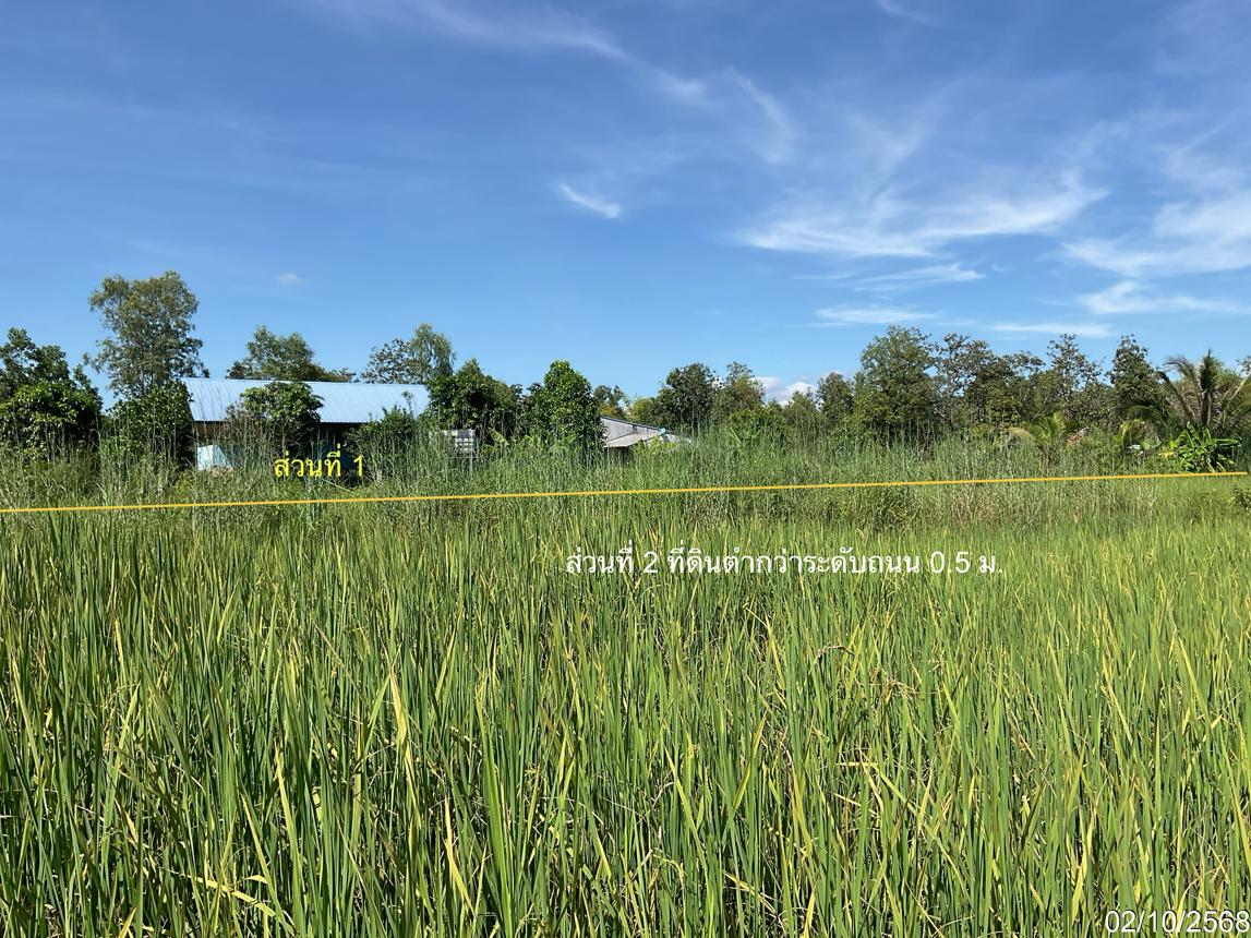 รูป โกดัง สำหรับขาย - บ้านผึ้ง เมืองนครพนม นครพนม - รูปที่ 16/24