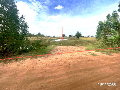 ที่ดิน โพธิ์ชัย ร้อยเอ็ด : ที่ดินว่างเปล่า สำหรับขาย - สะอาด โพธิ์ชัย ร้อยเอ็ด