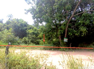 Land for sale Kae Dam Maha Sarakham : LAND for sale  Kae Dam Kae Dam Maha Sarakham
