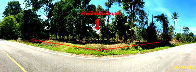 ที่ดิน นราธิวาส : ที่ดินว่างเปล่า สำหรับขาย - ซากอ ศรีสาคร นราธิวาส