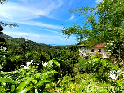 บ้านเดี่ยว เกาะสมุย สุราษฎร์ธานี : ขาย บ้านเดี่ยว 4 ห้องนอน ใน ตลิ่งงาม, สุราษฎร์ธานี 6051062