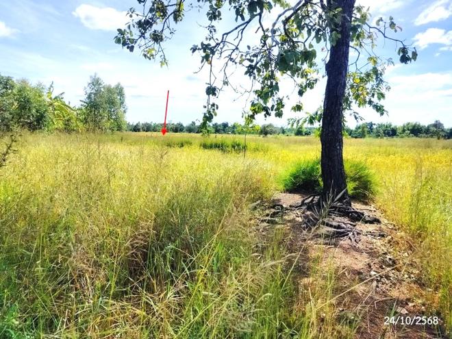 รูป ที่ดินว่างเปล่า สำหรับขาย - บ้านโพน โพนนาแก้ว สกลนคร - รูปที่ 7/24