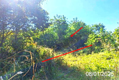 Land for sale Lamphang : LAND for sale  Ban Sadat Muang Lampang Lamphang