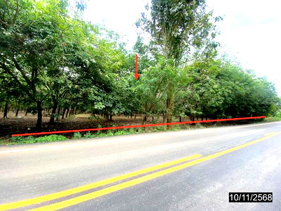 Land for sale Muang Loei Loei : LAND for sale  Nam Suai Muang Loei Loei
