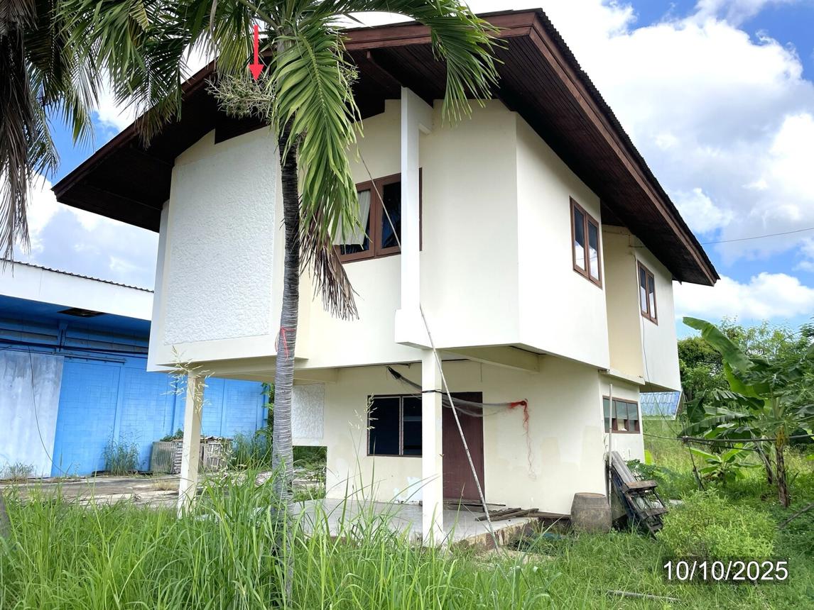 รูป โกดัง สำหรับขาย - คลองตาล ศรีสำโรง สุโขทัย - รูปที่ 54/64