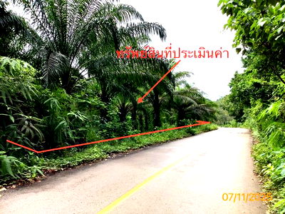 Land for sale Trang : LAND for sale  Laem Som Palian Trang
