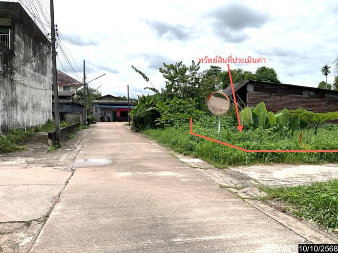 รูป ที่ดินว่างเปล่า สำหรับขาย - ปากแพรก ทุ่งสง นครศรีธรรมราช - รูปที่ 3/16