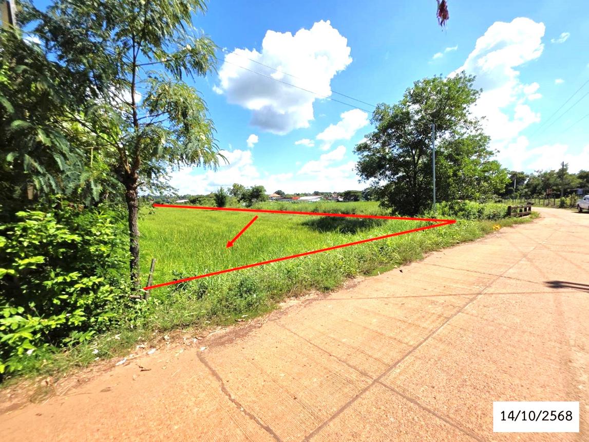 รูป ที่ดินว่างเปล่า สำหรับขาย - ม่วงไข่ พังโคน สกลนคร - รูปที่ 7/14