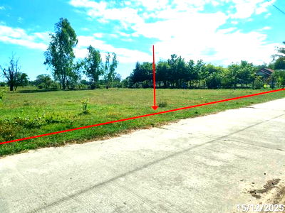 Land for sale Phayakkhaphum Phisai Maha Sarakham : LAND for sale  Lan Sakae Phayakkhaphum Phisai Maha Sarakham