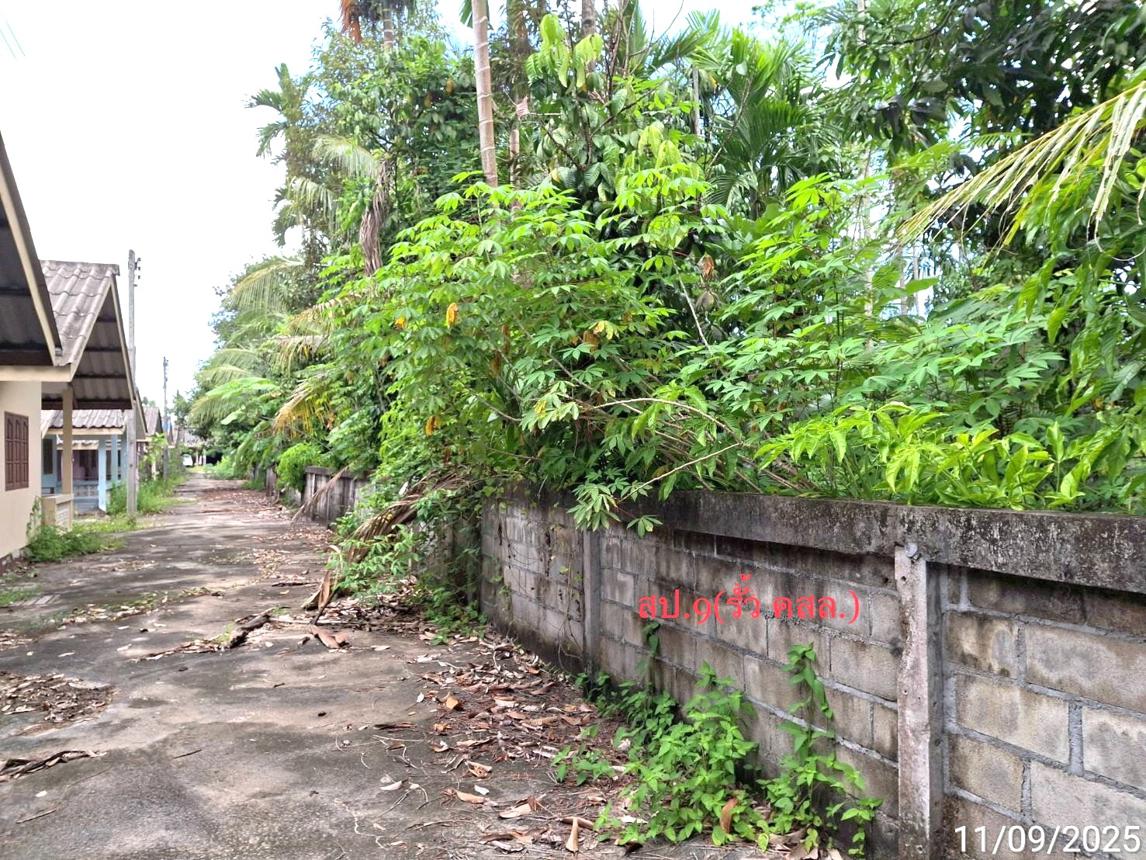 รูป บ้านเดี่ยว สำหรับขาย - พรุพี บ้านนาสาร สุราษฎร์ธานี - รูปที่ 54/58