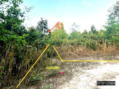 ที่ดิน เมืองอุบลราชธานี อุบลราชธานี : ที่ดินว่างเปล่า สำหรับขาย - แจระแม เมืองอุบลราชธานี อุบลราชธานี