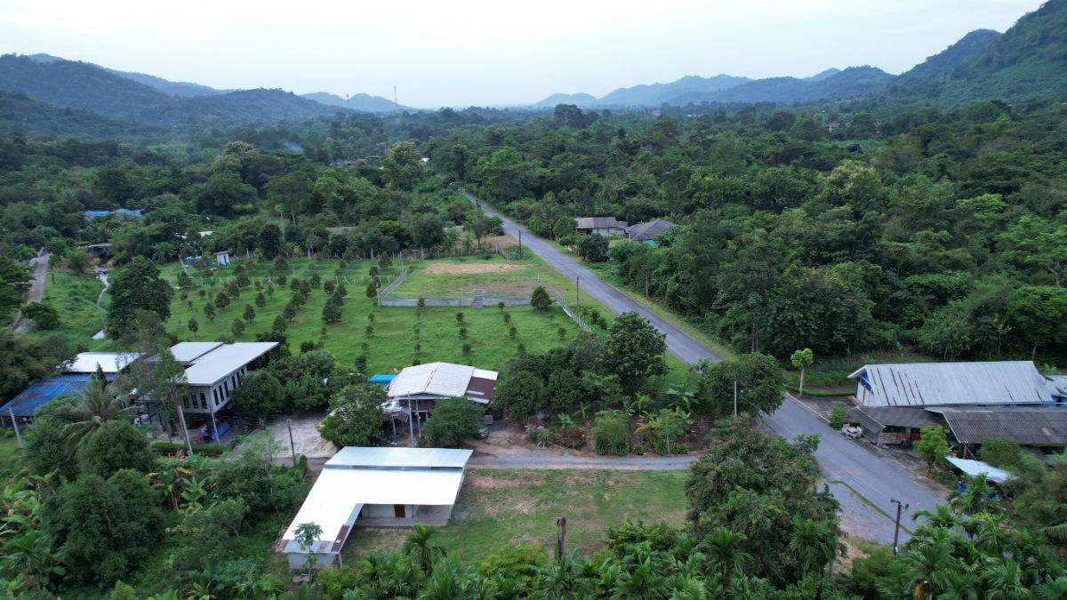 รูป ขายบ้านพร้อมที่ดิน 200 ตารางวา ต.เขาพระ อ.เมืองนครนายก ติดถนนหลัก วิวเขาชัด - รูปที่ 12/32