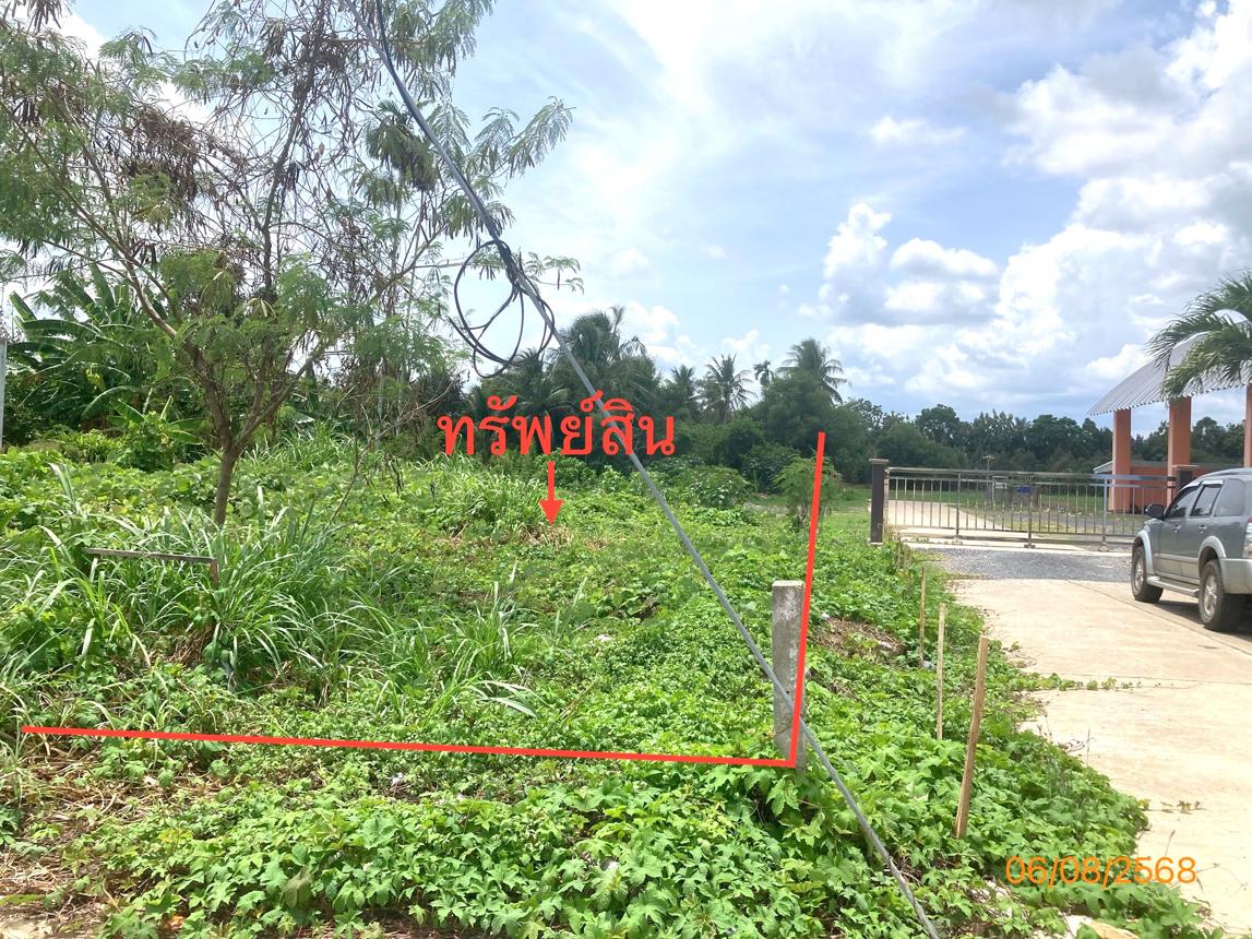 รูป ที่ดินว่างเปล่า สำหรับขาย - กรูด กาญจนดิษฐ์ สุราษฎร์ธานี - รูปที่ 11/18