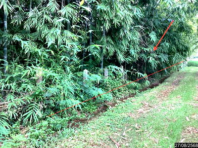 Land for sale Phen Udon Thani : LAND for sale  Ban That Phen Udon Thani