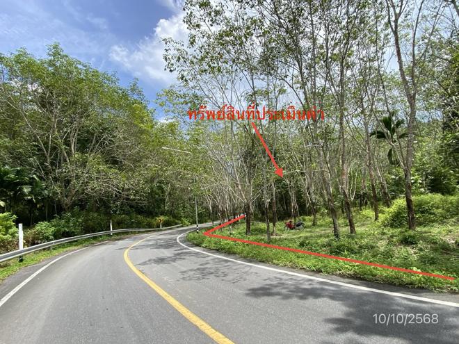 รูป ที่ดินว่างเปล่า สำหรับขาย - ละอาย ฉวาง นครศรีธรรมราช - รูปที่ 5/20