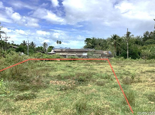 รูป ที่ดินว่างเปล่า สำหรับขาย - เขาชัยสน เขาชัยสน พัทลุง - รูปที่ 4/20