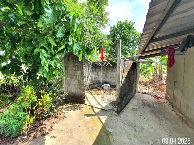 picture FACTORY for sale Rim Tha Wang Pha Nan - 6/24