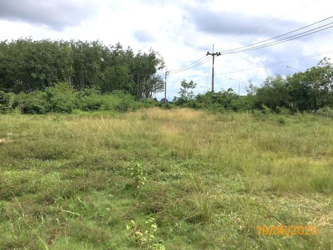 รูป ที่ดินว่างเปล่า สำหรับขาย - โพธิ์เสด็จ เมืองนครศรีธรรมราช นครศรีธรรมราช - รูปที่ 10/32