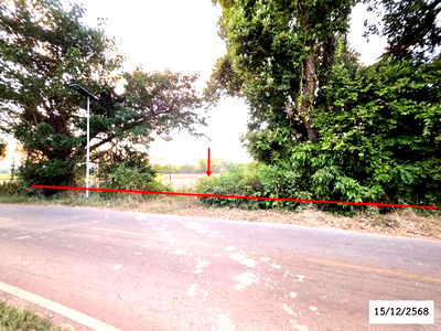 Land for sale Sakon Nakhon : LAND for sale  Hai Yong Phang Khon Sakon Nakhon