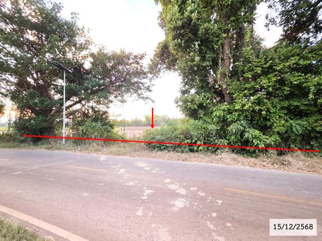 รูป ที่ดินว่างเปล่า สำหรับขาย - ไฮหย่อง พังโคน สกลนคร - รูปที่ 1/16