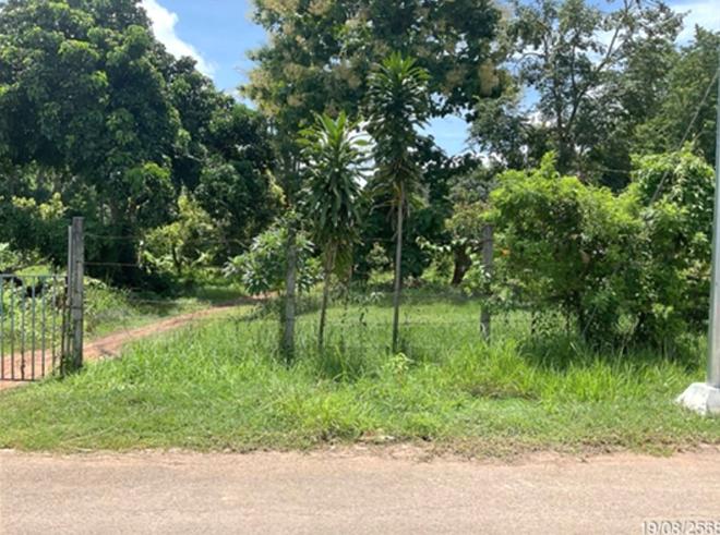 picture LAND for sale Don Nang Hong That Phanom Nakhon Phanom - 4/12
