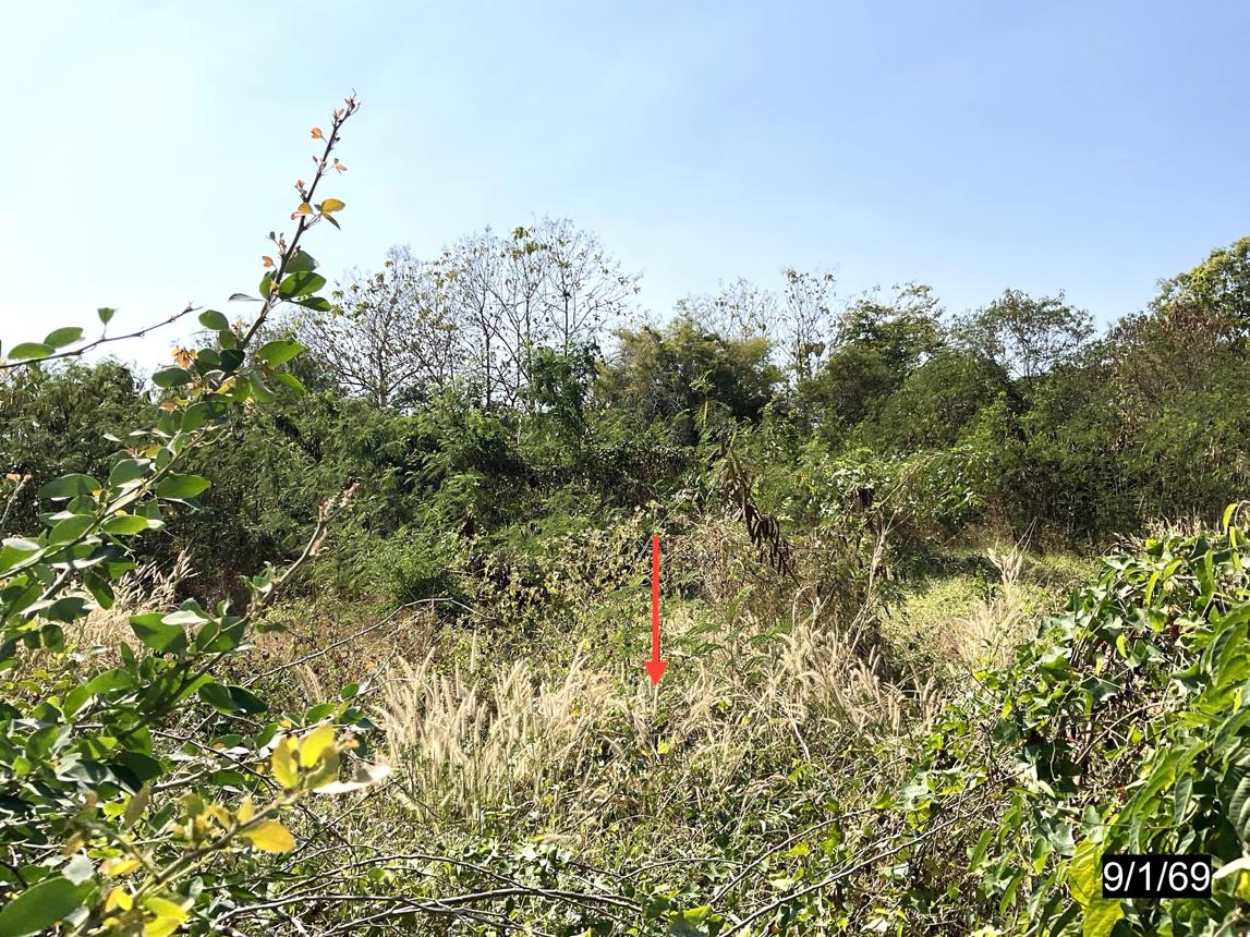 รูป ที่ดินว่างเปล่า สำหรับขาย บ้านรุ้งเพชร หนองไผ่ ชุมแพ ขอนแก่น - รูปที่ 14/24