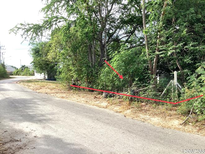 รูป ที่ดินว่างเปล่า สำหรับขาย - หัวหิน หัวหิน ประจวบคีรีขันธ์ - รูปที่ 2/12