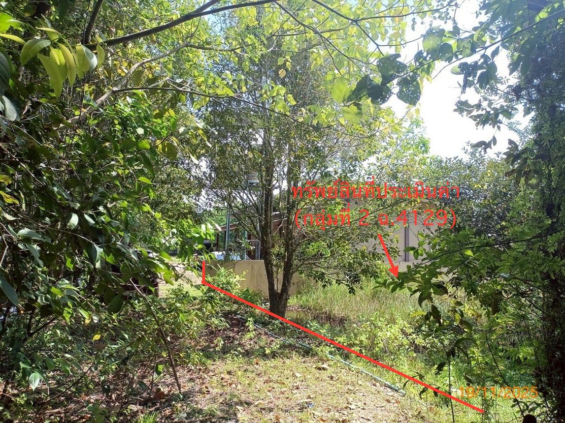 รูป ที่ดินว่างเปล่า สำหรับขาย - ศาลาด่าน เกาะลันตา กระบี่ - รูปที่ 22/30