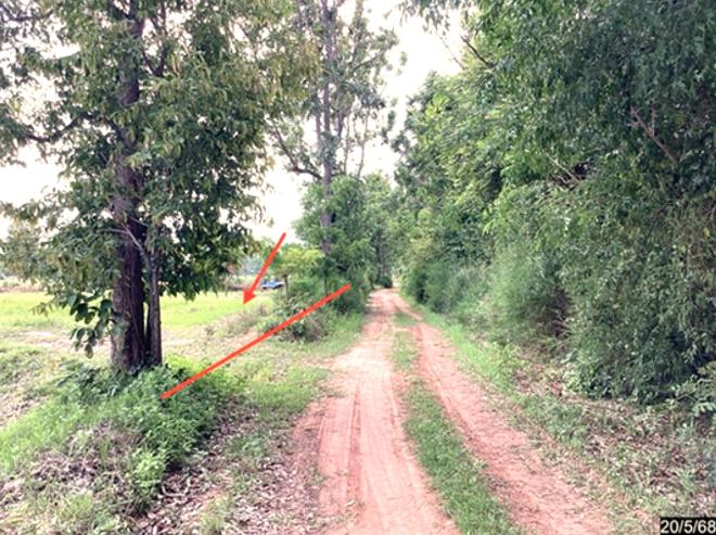 รูป ที่ดินว่างเปล่า สำหรับขาย - เมืองพะไล บัวลาย นครราชสีมา - รูปที่ 3/14