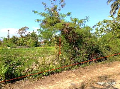 Land for sale Chiang Rai : LAND for sale  Pa Ko Dam Mae Lao Chiang Rai