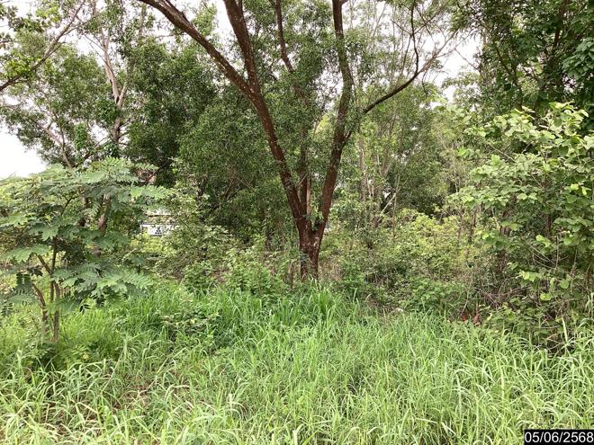 รูป ที่ดินว่างเปล่า สำหรับขาย - บ้านเลื่อม เมืองอุดรธานี อุดรธานี - รูปที่ 4/24