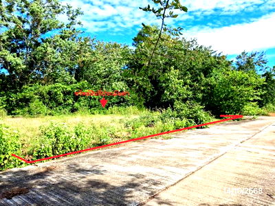 ที่ดิน ควนขนุน พัทลุง : ที่ดินว่างเปล่า สำหรับขาย - แพรกหา ควนขนุน พัทลุง