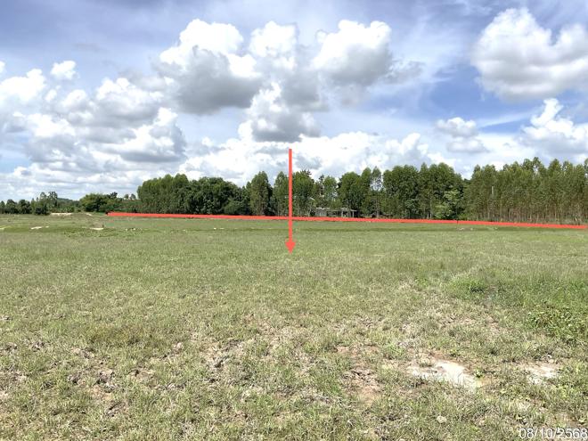 รูป ที่ดินว่างเปล่า สำหรับขาย - หนองมะโมง หนองมะโมง ชัยนาท - รูปที่ 3/24