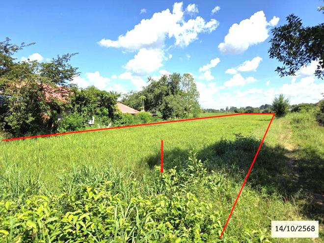 รูป ที่ดินว่างเปล่า สำหรับขาย - ม่วงไข่ พังโคน สกลนคร - รูปที่ 4/14