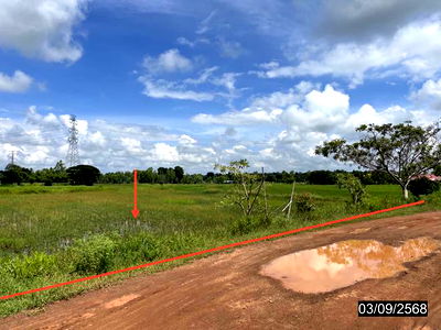 Land for sale Chaeng Sanit Road, Ubon Ratchathani : LAND for sale  Si Kaeo Muang Roi Et Roi Et