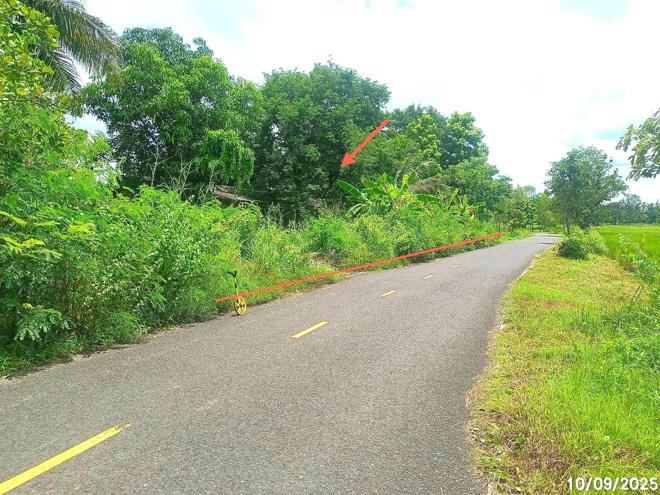 picture FACTORY for sale Pa Mong Det Udom Ubon Ratchathani - 17/38