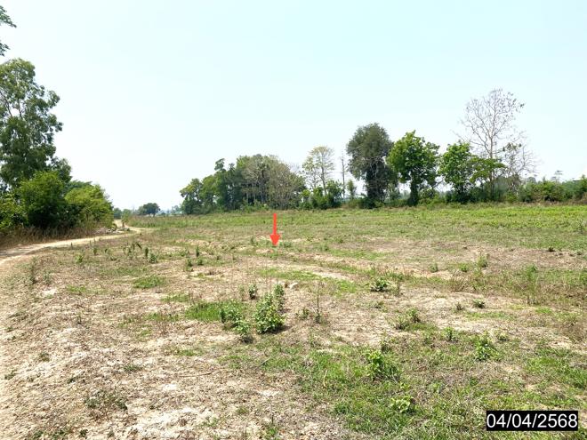 รูป ที่ดินว่างเปล่า สำหรับขาย - ลำหนองแสน หนองกุงศรี กาฬสินธุ์ - รูปที่ 6/24