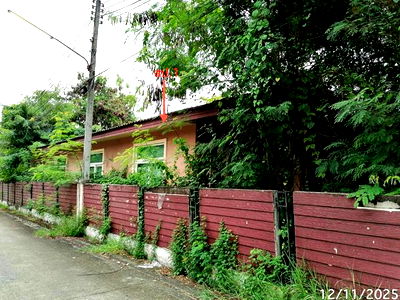 บ้านเดี่ยว สระบุรี : บ้านเดี่ยว สำหรับขาย เดอะแกรนด์ มาลาทิพย์  บ้านลำ วิหารแดง สระบุรี