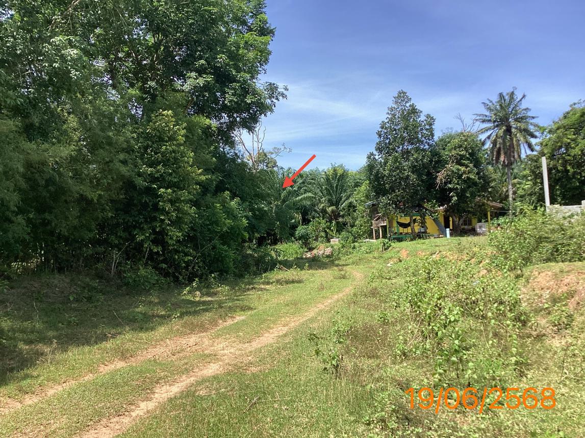 รูป ที่ดินว่างเปล่า สำหรับขาย - ทรายขาว คลองท่อม กระบี่ - รูปที่ 7/12