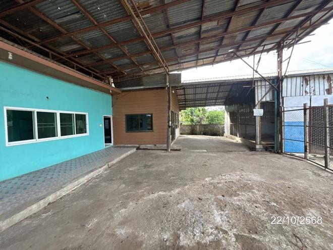 รูป บ้านเดี่ยว สำหรับขาย - หูทำนบ ปะคำ บุรีรัมย์ - รูปที่ 6/42