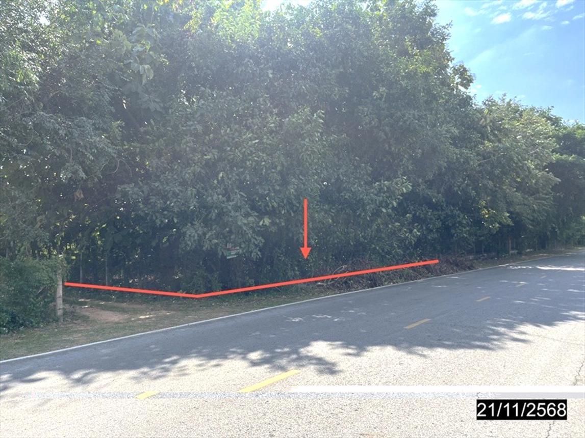 picture LAND for sale  Kwan Muang Selaphum Roi Et - 8/16