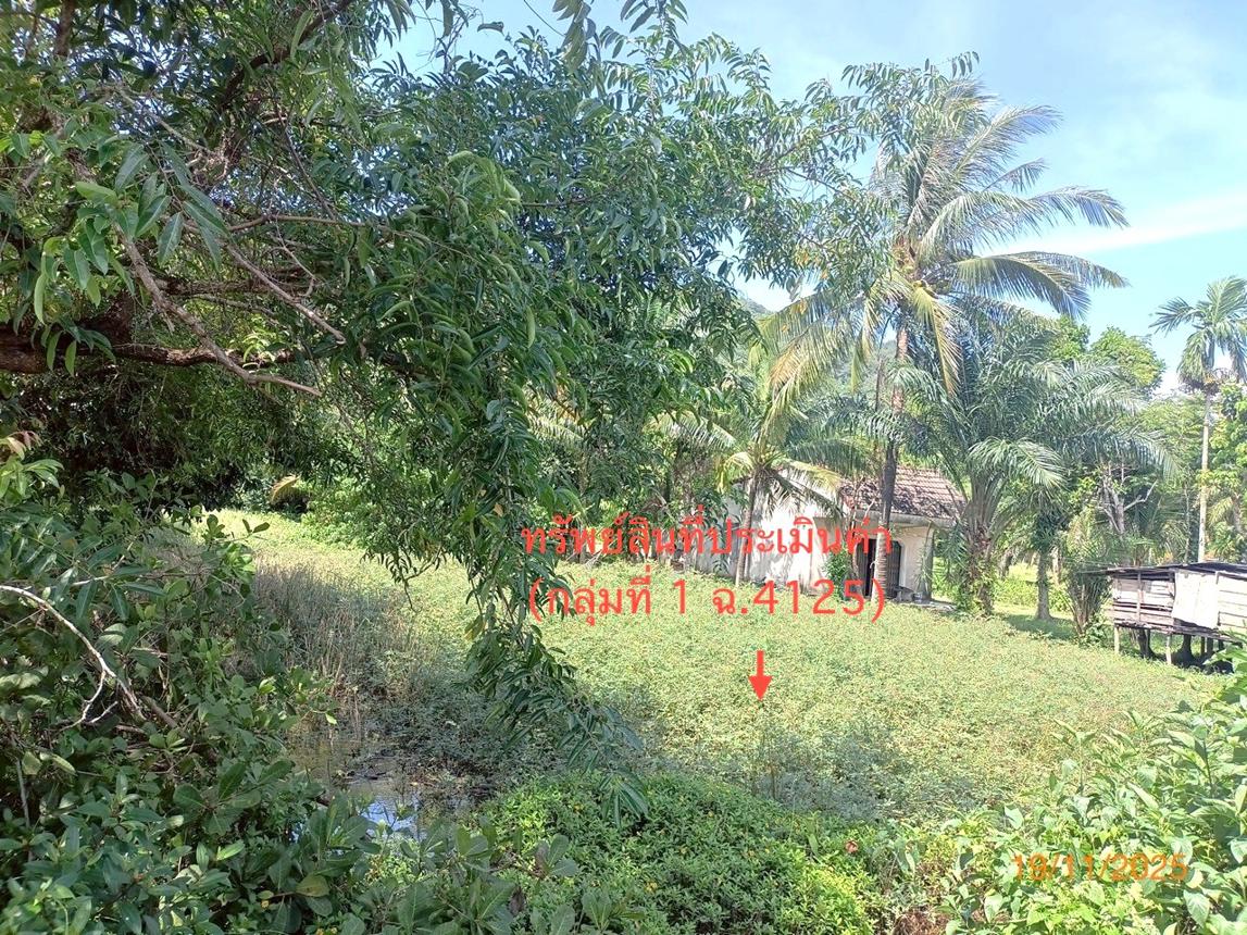 รูป ที่ดินว่างเปล่า สำหรับขาย - ศาลาด่าน เกาะลันตา กระบี่ - รูปที่ 17/30