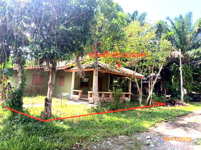 Houses for sale Krabi : HOME for sale  Ko Lanta Noi Ko Lanta Krabi
