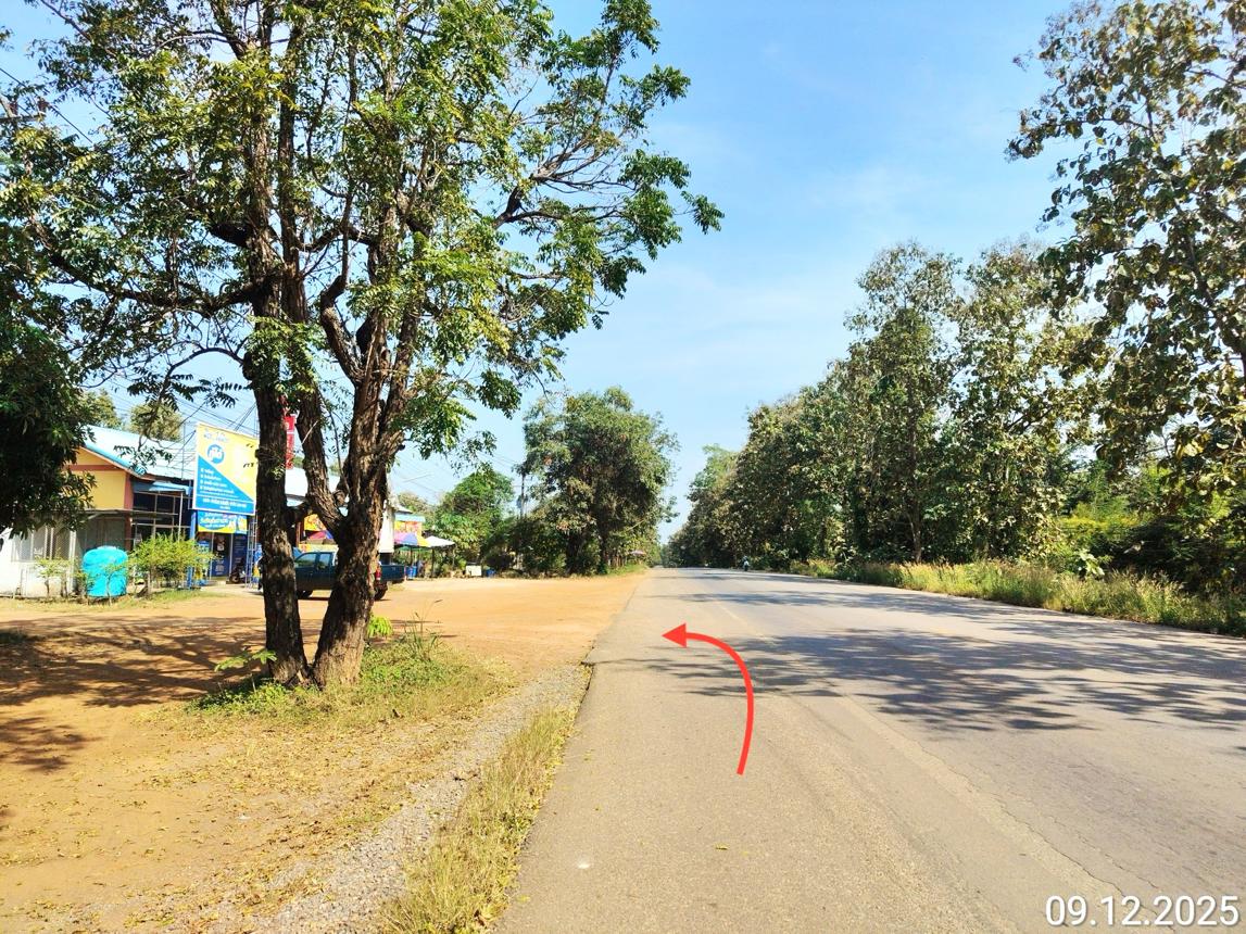 รูป ที่ดินว่างเปล่า สำหรับขาย - ชัยจุมพล ลับแล อุตรดิตถ์ - รูปที่ 10/14