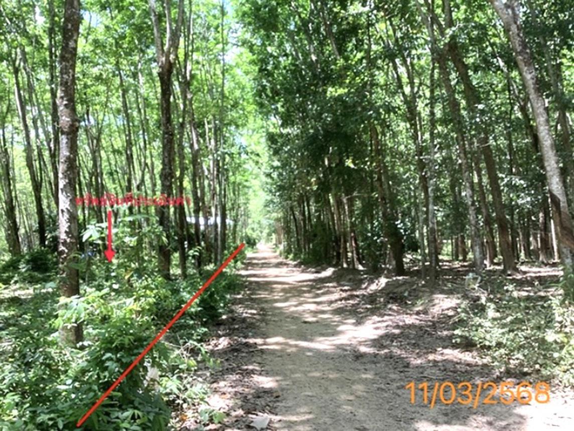 รูป ที่ดินว่างเปล่า สำหรับขาย - เกาะยาวน้อย เกาะยาว พังงา - รูปที่ 9/18