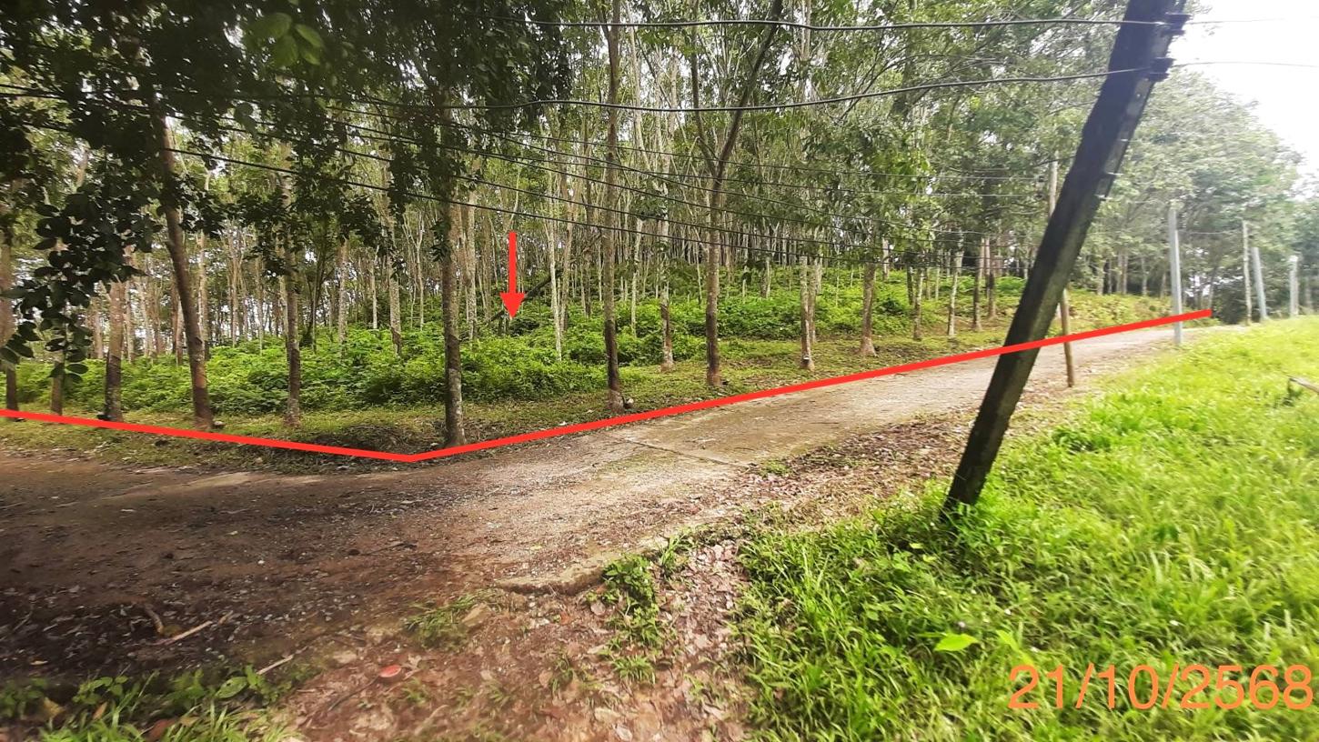 picture LAND for sale  Pa Khlok Thalang Phuket - 7/16