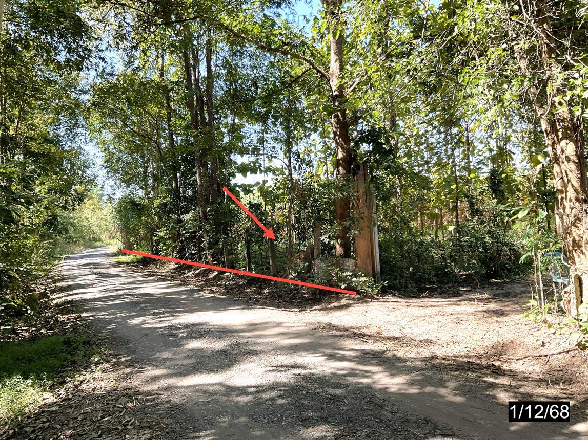 รูป ที่ดินว่างเปล่า สำหรับขาย - โนนสะอาด ชุมแพ ขอนแก่น - รูปที่ 7/14