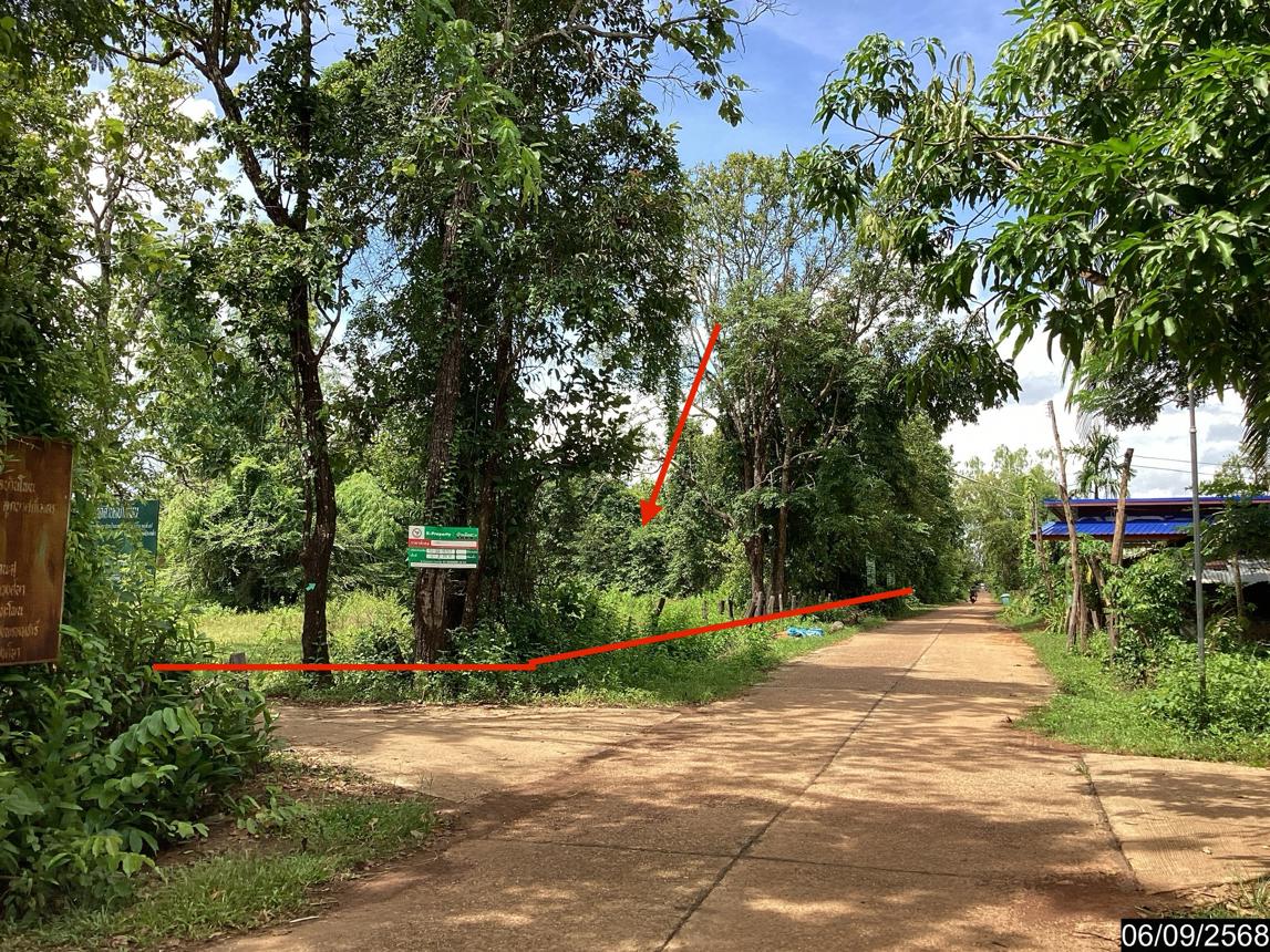 รูป ที่ดินว่างเปล่า สำหรับขาย - บ้านโพน โพนนาแก้ว สกลนคร - รูปที่ 11/24